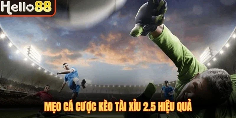 Mẹo cá cược kèo tài xỉu 2.5 hiệu quả